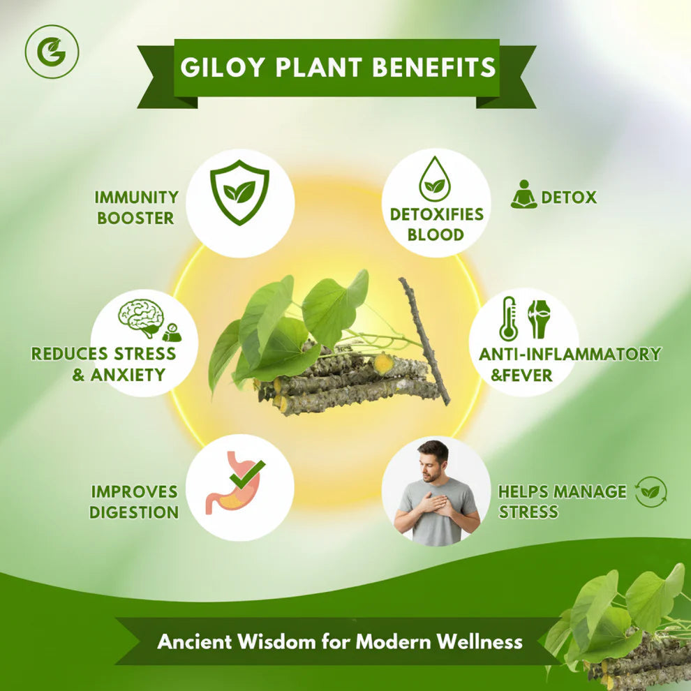 Ayur Glow Fix Giloy 💚🌿 (Buy 10 Get 10 Free🔥🔥)